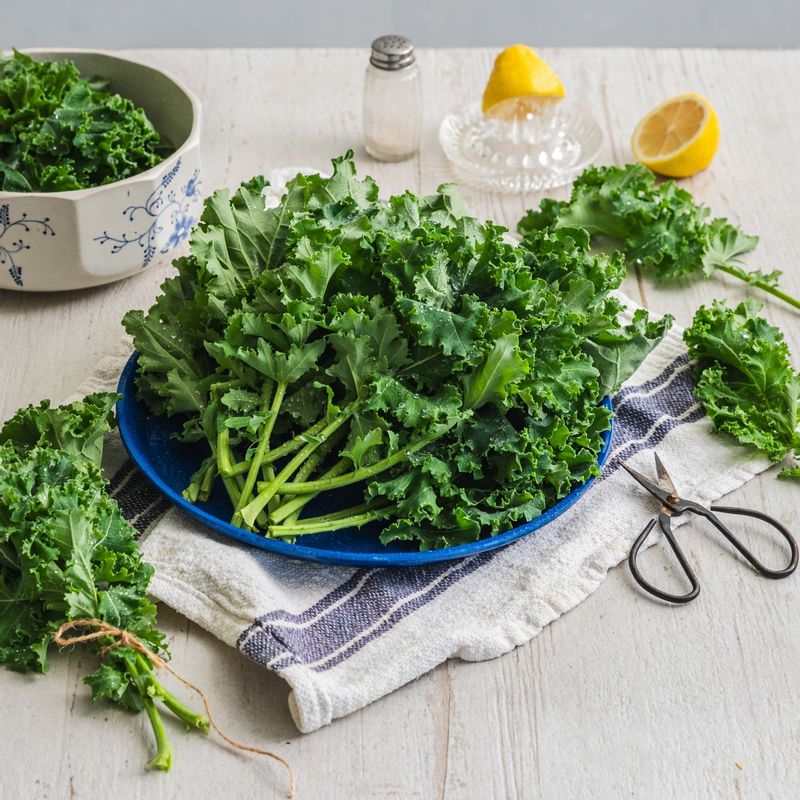 컬리케일 사과 주스 을 위한 재료 이미지로 컬리케일,사과,오렌지,물,꿀 등으로 구성 되어있습니다.