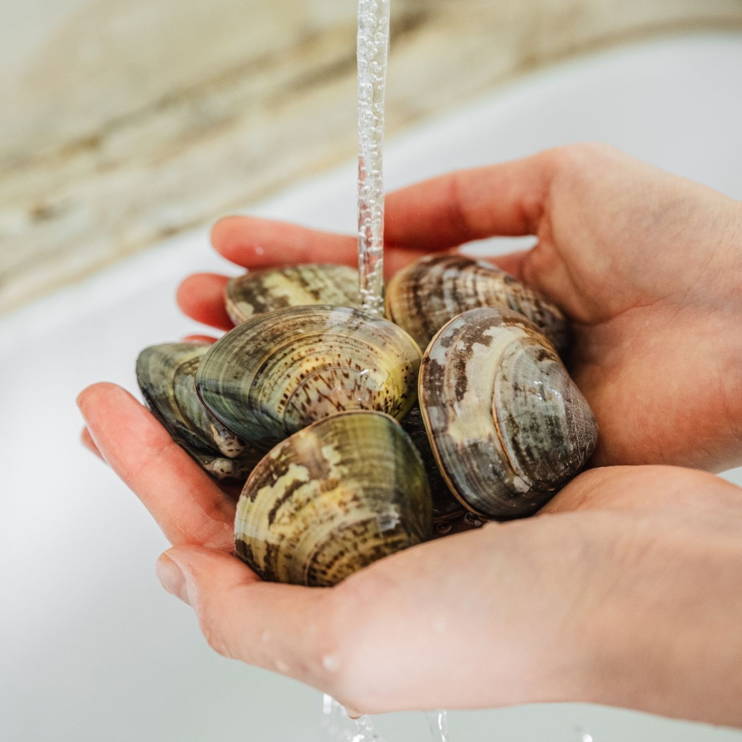 해감한 참백합은 흐르는 물에 가볍게 헹궈 준비해주세요. 