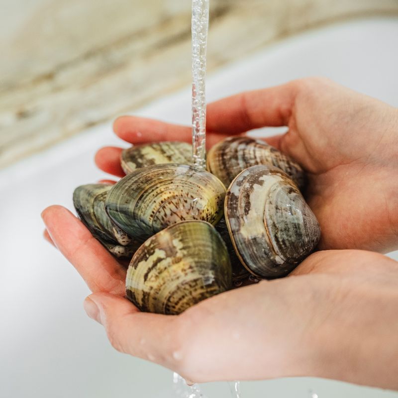 해감한 참백합은 흐르는 물에 가볍게 헹궈 준비해주세요.