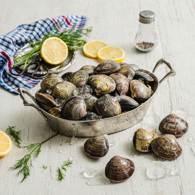 참백합 맑은탕을 위한 재료 이미지로 참백합,물,무,대파,청홍고추 등으로 구성 되어있습니다.