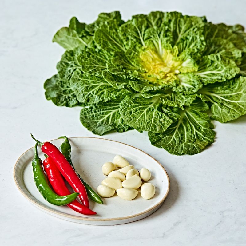 봄동장아찌을 위한 재료 이미지로 봄동,마늘,청양고추,홍고추 등으로 구성 되어있습니다.