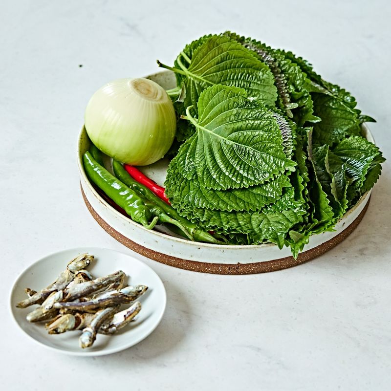 깻잎멸치찜을 위한 재료 이미지로 깻잎,국물용 멸치,양파,청양고추,홍고추 등으로 구성 되어있습니다.