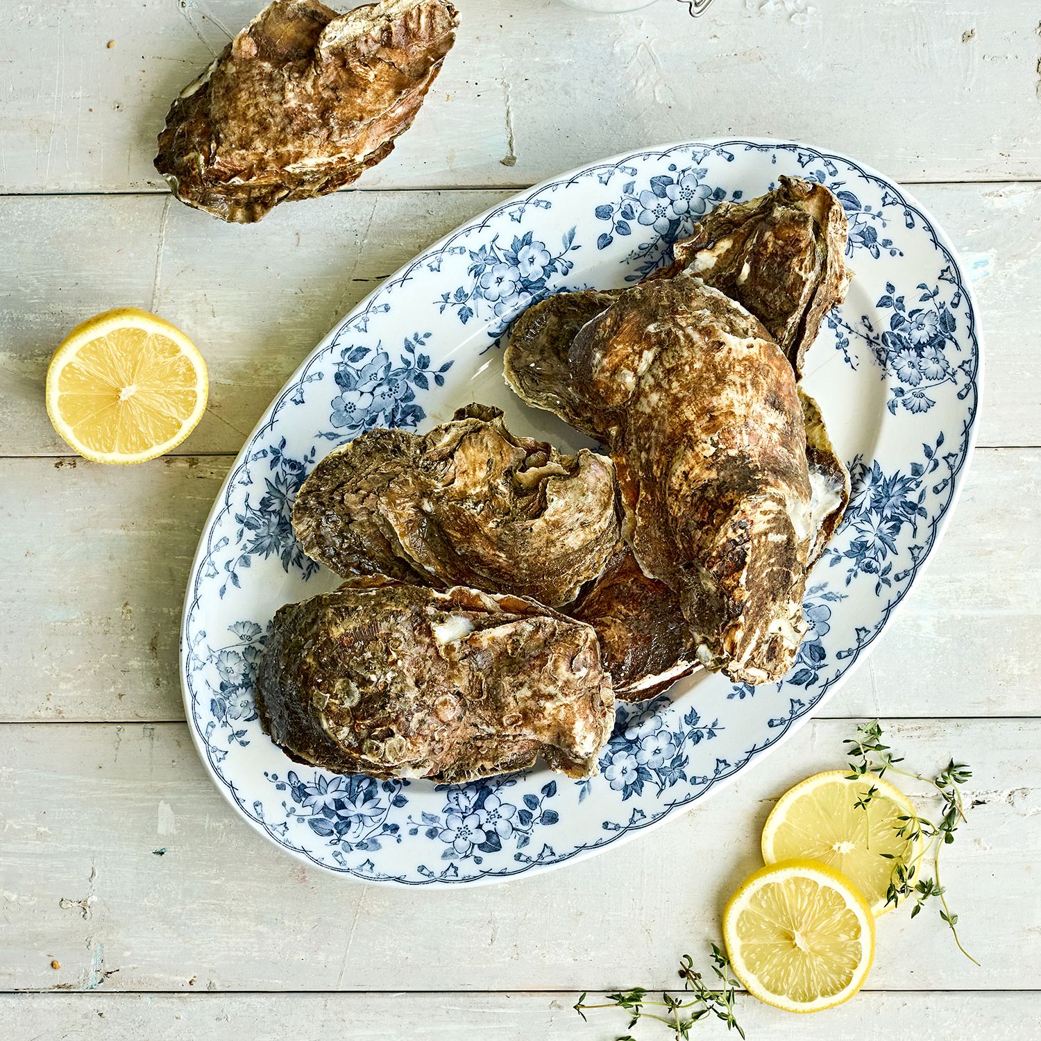 굴세비체 을 위한 재료 이미지로 벚굴(생굴),레몬,씨겨자,화이트 발사믹,올리브오일 등으로 구성 되어있습니다.