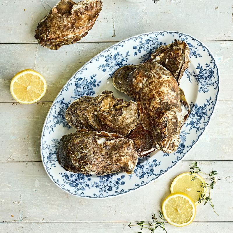 굴세비체 을 위한 재료 이미지로 벚굴(생굴),레몬,씨겨자,화이트 발사믹,올리브오일 등으로 구성 되어있습니다.