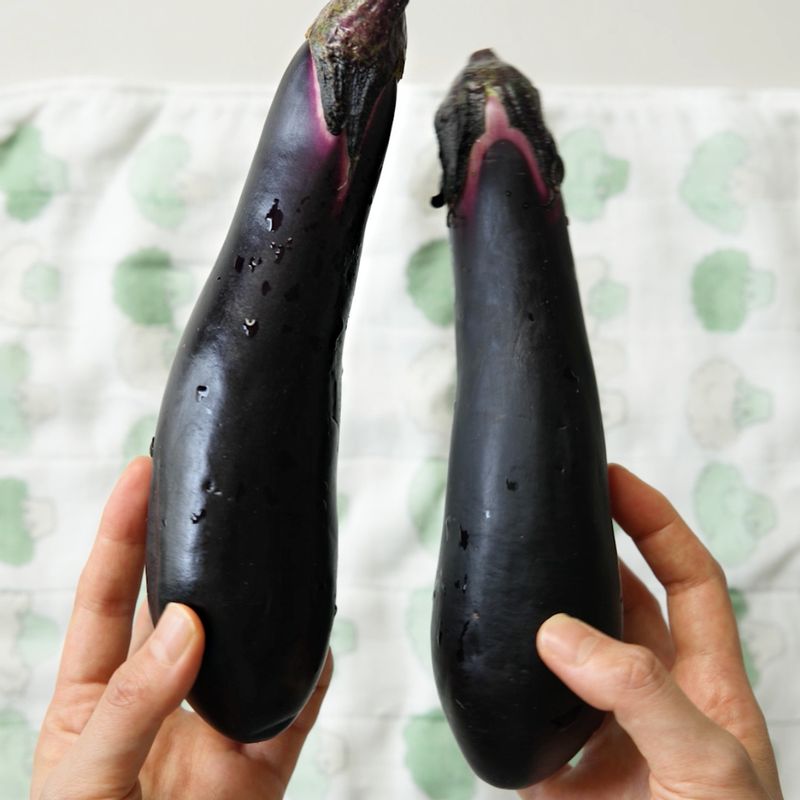 구운 가지 샌드위치을 위한 재료 이미지로 치아바타,가지,방울토마토,토마토 페스토(토마토 소스),모짜렐라 피자치즈 등으로 구성 되어있습니다.