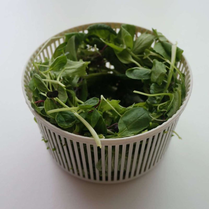 새싹채소와 어린잎채소는 흐르는 물에 씻은 후 체에 밭쳐 물기를 제거해주세요. 쌈채소는 먹기 좋게 한입 크기로 자르고 양파와 적양배추, 깻잎은 채를 썰어주세요.