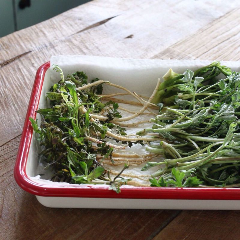 손질한 냉이와 쑥, 두릅은 깨끗이 씻고 키친타월에 올려 물기를 제거해주세요.