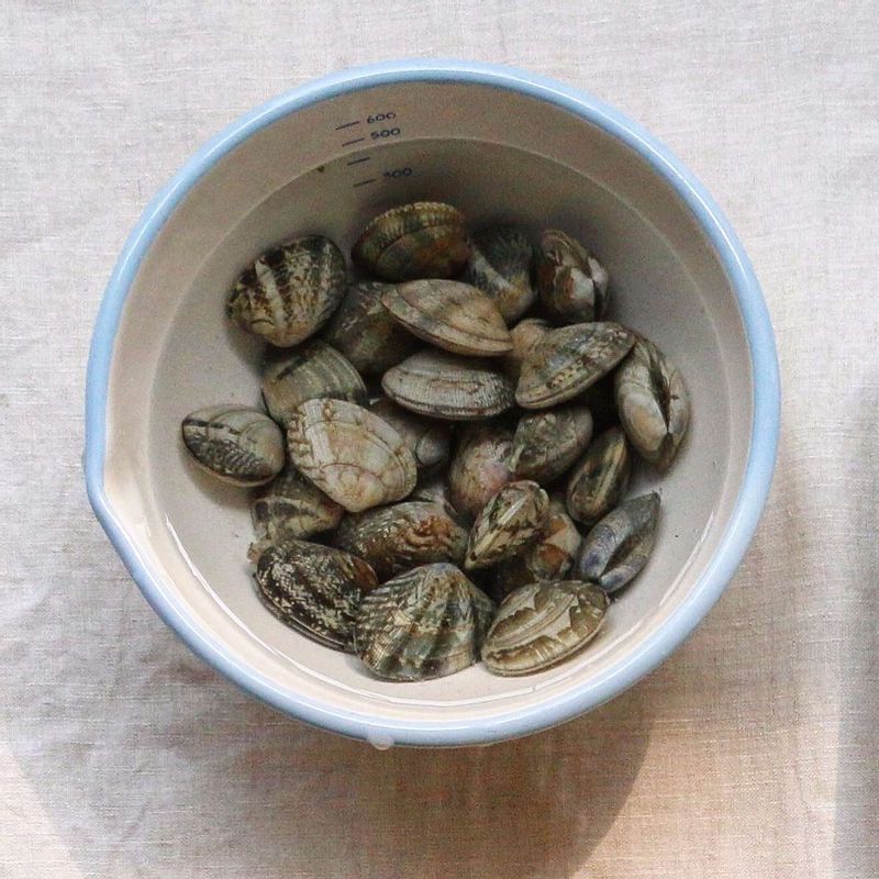 바지락은 흐르는 물에 비벼 깨끗이 씻은 후 약간의 소금을 넣은 물에 담가 어두운 곳에서 해감해주세요.