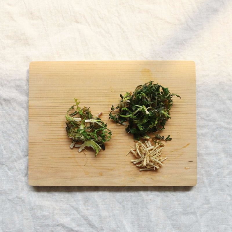 냉이는 무른 잎을 떼어 낸 후, 칼로 뿌리부분의 흙을 긁어내고 흐르는 물에 깨끗이 씻어 먹기 좋게 썰어주세요.