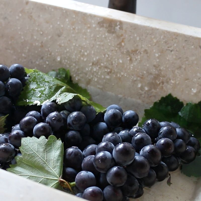 포도는 약간의 식초를 넣은 물에 3분 정도 담군 후 흐르는 물에 깨끗이 씻어 먹기 좋은 크기로 잘라 씨를 빼주세요. 루꼴라는 깨끗이 씻어 물기를 제거해주세요.
(포도의 껍질을 벗겨 토핑에 섞어 올려주셔도 좋답니다.)