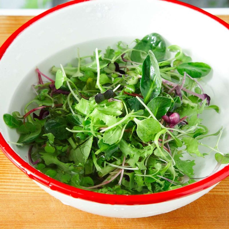 새싹 채소는 찬물에 담가주세요.