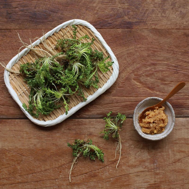 냉이무침을 위한 재료 이미지로 냉이,소금,통깨 등으로 구성 되어있습니다.