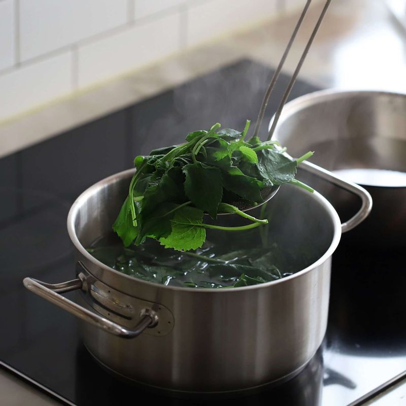 끓는 물에 약간의 소금과 취나물을 넣어주세요. 줄기가 부드럽게 데쳐지면 건져내 찬물에 헹구고, 물기를 적당히 짠 후 먹기 좋게 잘라주세요.