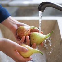 무화과 치즈카나페 Step 1