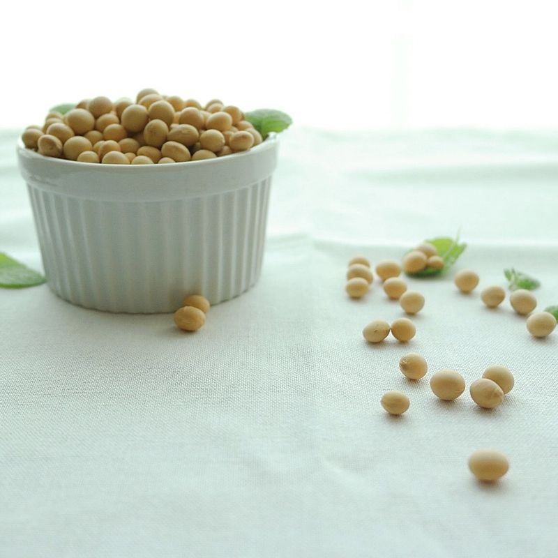 잣콩국수을 위한 재료 이미지로 소면,콩(백태),잣,파프리카,오이 등으로 구성 되어있습니다.