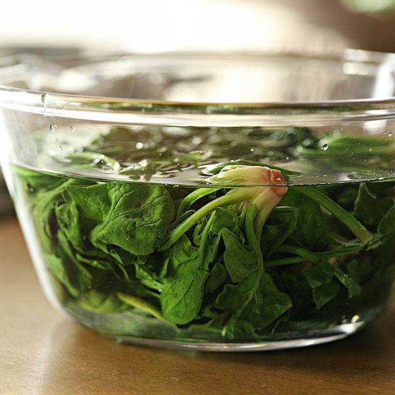 끓는 물에 소금 ½ 큰술을 넣고 깨끗이 씻은 시금치와 케일을 20초 정도 데쳐주세요. 데친 잎채소는 찬물에 담근 후 물기를 짜고, 줄기는 잘게 송송 썰어주세요.
(tip. 근대 줄기는 토핑용으로 사용해도 좋아요)