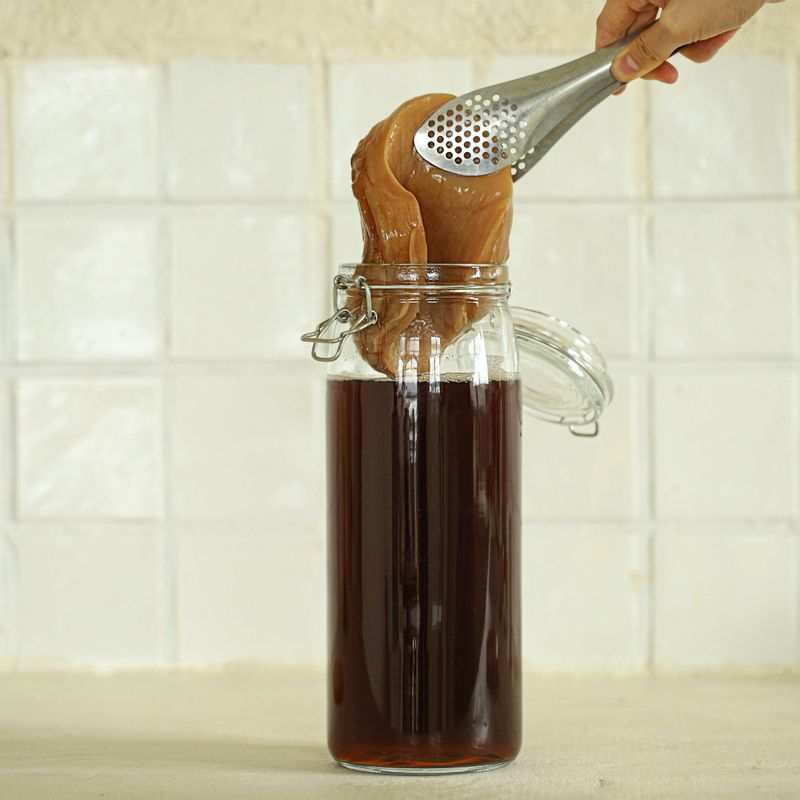 티를 충분히 식힌 후 소독한 유리 병에 담고 스코비와 콤부차 원액을 넣어주세요.