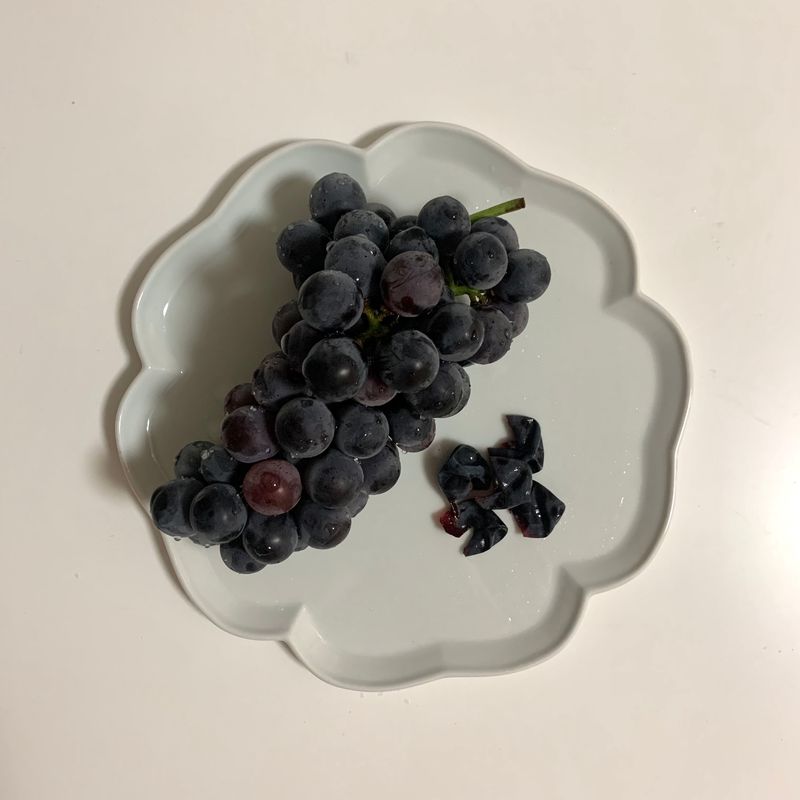 포도의 계절🍇💜 제철과일은 제철에 먹어야 훨씬 달고 싱싱하고 맛있는 것 같아요 :) 과일 꼬옥 챙겨먹구 건강해져요 우리, #무자기 #그릇 #포도 #제철과일 #여름과일 #플레이트