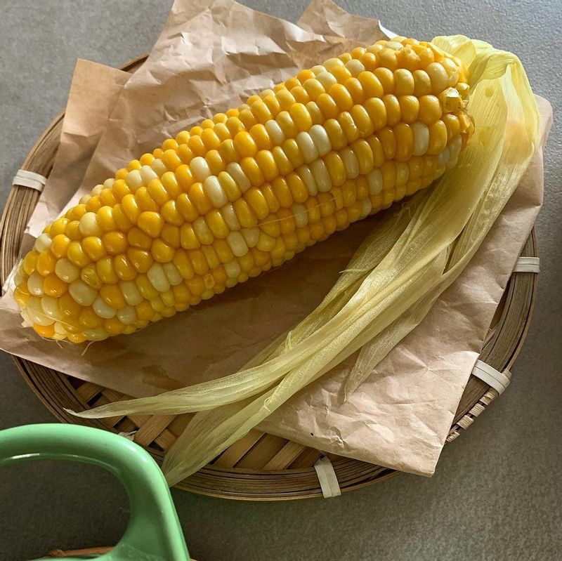 #초당옥수수솥밥 #옥수수솥밥 #초당옥수수 #제철음식