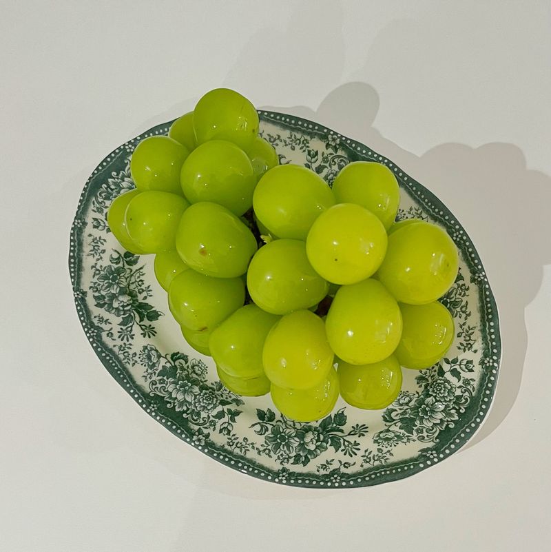 최근 산 그릇 중에서 가장 마음에 드는 그릇이에요 💚 예쁜 그릇이 맛있는 샤인머스캣을 담으니 기분도 막 좋아지네요 😚 #샤인머스캣 #온더테이블 #과일 #그릇 #간식