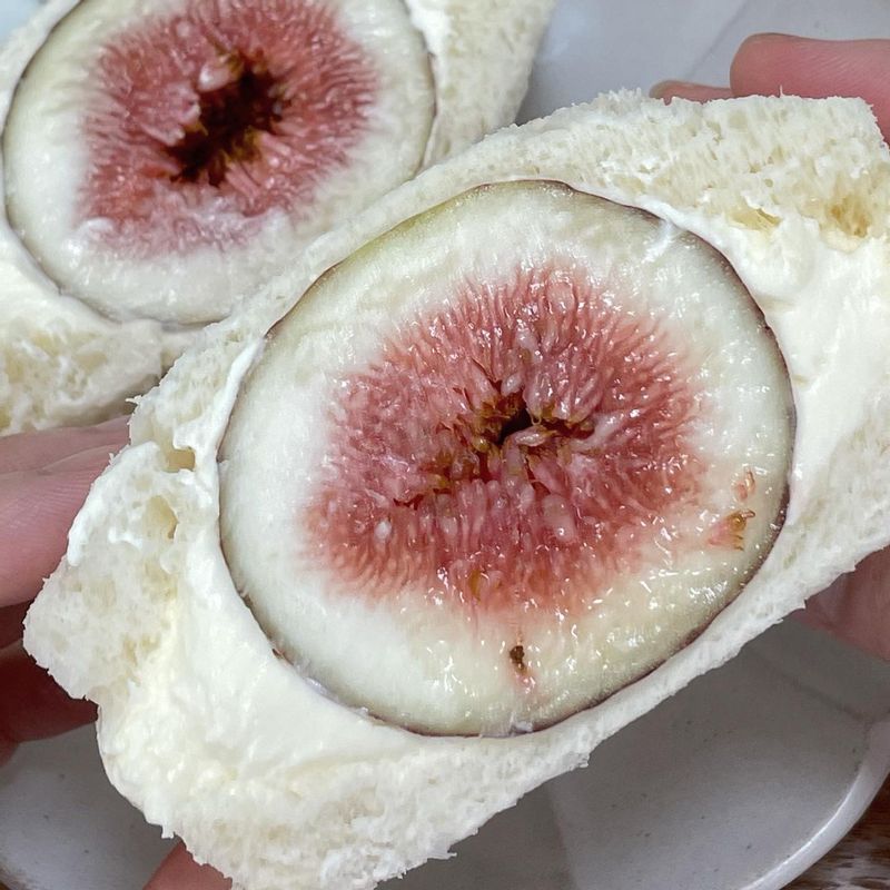 부드러운 식빵과 생크림, 달콤한 무화과의 조합까지✨ 가을 제철 무화과❤️ 이번 가을에 맛있게 즐겨보아요☺️ #무화과 #무화과샌드위치 #샌드위치 #무화과요리 #생크림 #생크림만들기 #홈카페