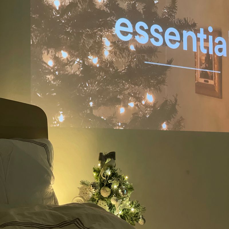 따뜻하게 장판켜고 침대위에서 까먹는 귤이 제일맛있어요 😁 #귤 #겨울간식 #침실인테리어 #겨울무드 #간식 #디저트 #과일 #야식