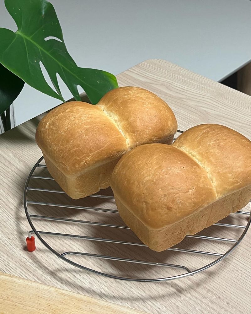 비오는날, 식빵을 한번 구워봤어요 ^^ 포슬포슬한 우유 식빵이에요 ~ 따끈할때 뜯어먹어야 제맛 :) 딸아이도 너무 잘 먹고 남편 아침으로도 좋아요. #홈베이킹 #우유식빵 #쫀득쫀득