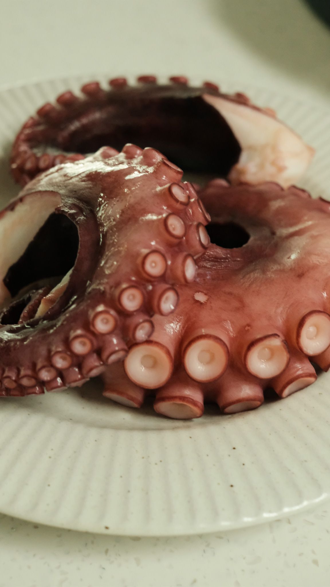 🐙🐙🐙