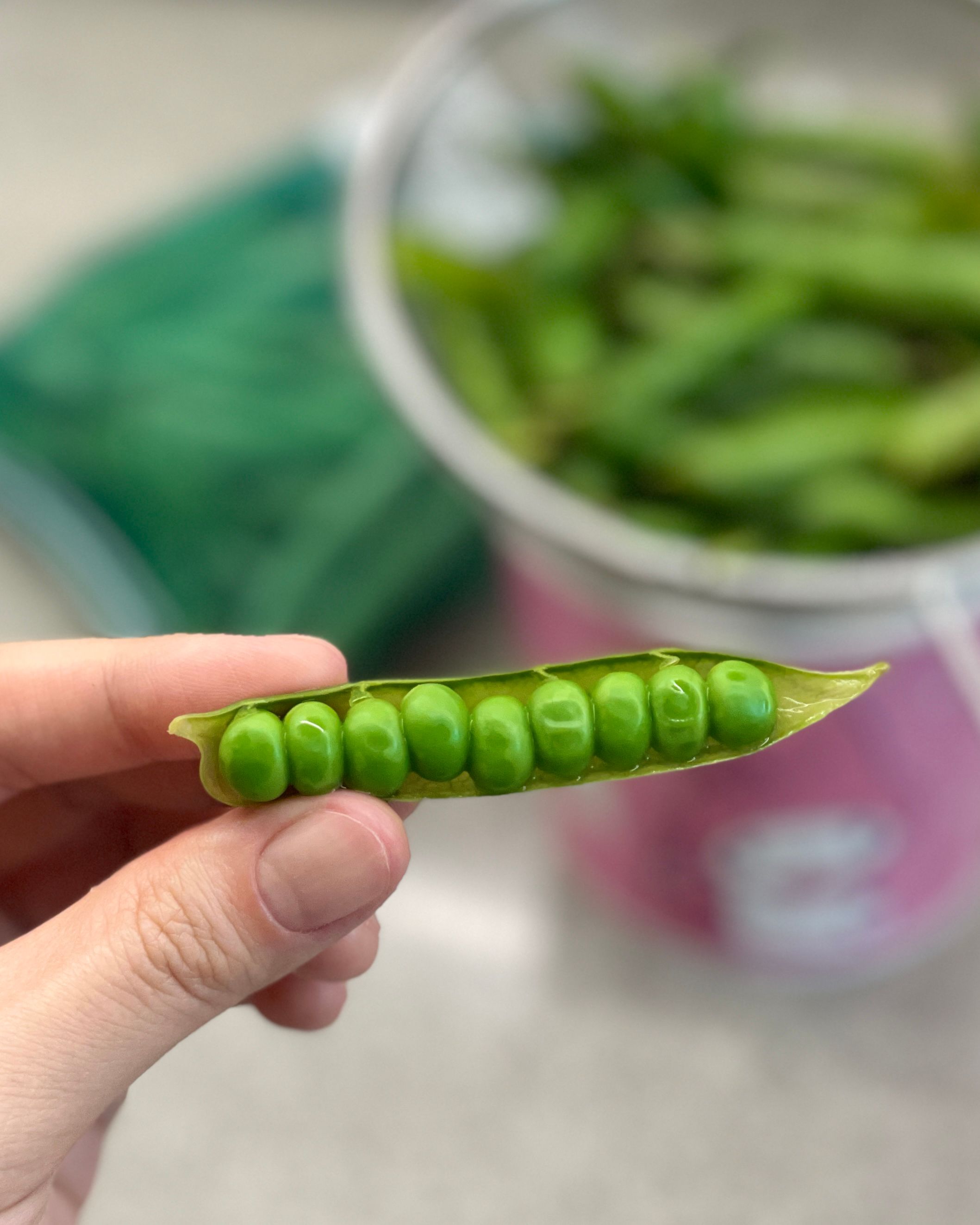 삶은 완두콩 까서 호로록 먹기 💚 - 우리의식탁 앱 로딩화면이 완두콩이던 날 계속 눈팅해서 그런지.. 급 완두콩 앓이 시작  인터넷으로 주문하려다가 2인 가족에게는 마트표 자그마한 망 하나면 충분할 것 같아서 사왔어요  완두콩 500g 중 반만 꺼내서 물 한컵에 소금, 설탕 반숟가락씩 넣고 삶기 물 끓기 시작하고 2~3분 정도면 충분하더라구요  남은 반은 껍질 까서 완두콩알만 냉동실로 쏙 !  삶은 완두콩 간식처럼 신나게 먹다가 남은 건 요리에 넣어야겠어요 🤭 . . 완두콩 하루 권장량이 40g이래요 폭풍 섭취하다가 급 멈춘.. 완두콩친자 🫧  완두콩볶음, 짜장밥, 치아바타 등을 해먹을래옹  #완두콩 #완두콩요리 #제철식재료 #제철음식 