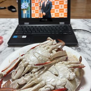 content image